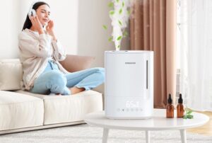 Read more about the article how to choose best Humidifiers for room